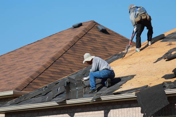 Best Roof Insulation Installation  in Concord, MI