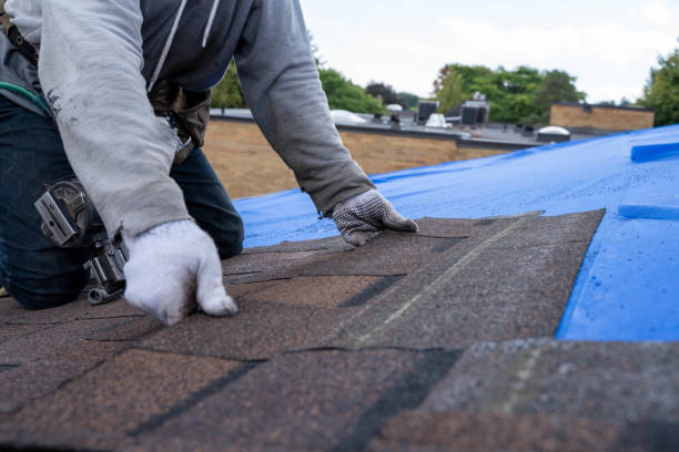 Best Solar Panel Roofing Installation  in Concord, MI