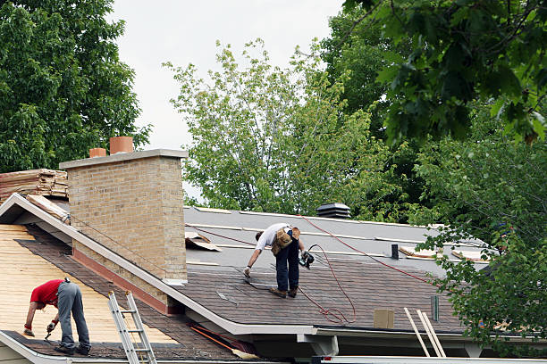 Best Roof Maintenance and Cleaning  in Concord, MI