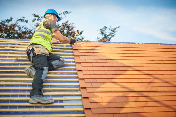 Best Rubber Roofing (EPDM, TPO)  in Concord, MI